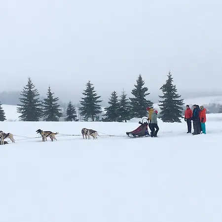 酒店 格兰得高尔夫滑雪度假村 4*